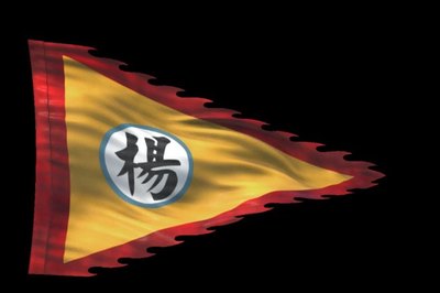 帥旗通道帥旗通道AE模板下載_光廠(VJ師網(wǎng))