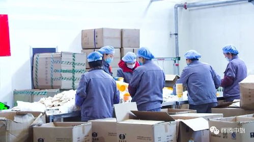 英雄武漢 中國(guó)平安丨中國(guó)平安采購(gòu)察右中旗陰山優(yōu)麥燕麥扶貧產(chǎn)品馳援武漢