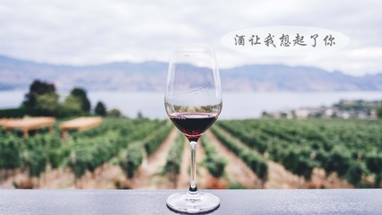寂寞孤獨酒一杯圖片
